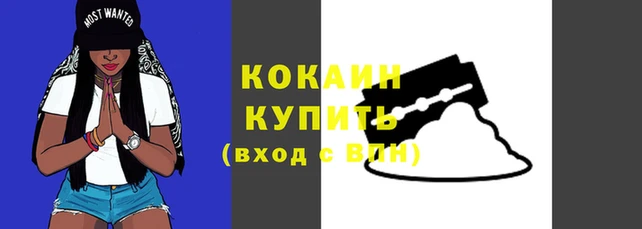 дживик Магадан