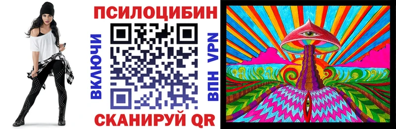 кракен зеркало  Сорочинск  Галлюциногенные грибы Psilocybe  где продают наркотики 